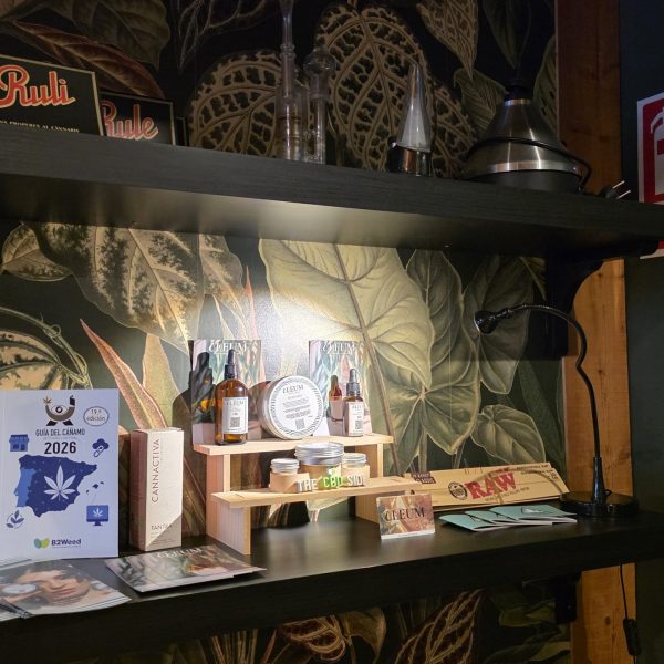 Botanik-bcn-club-inside (82)
